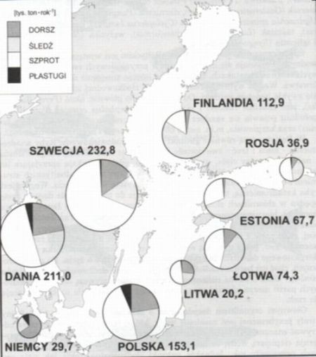 Połowy najważniejszych gatunków ryb bałtyckich w 1996 roku.